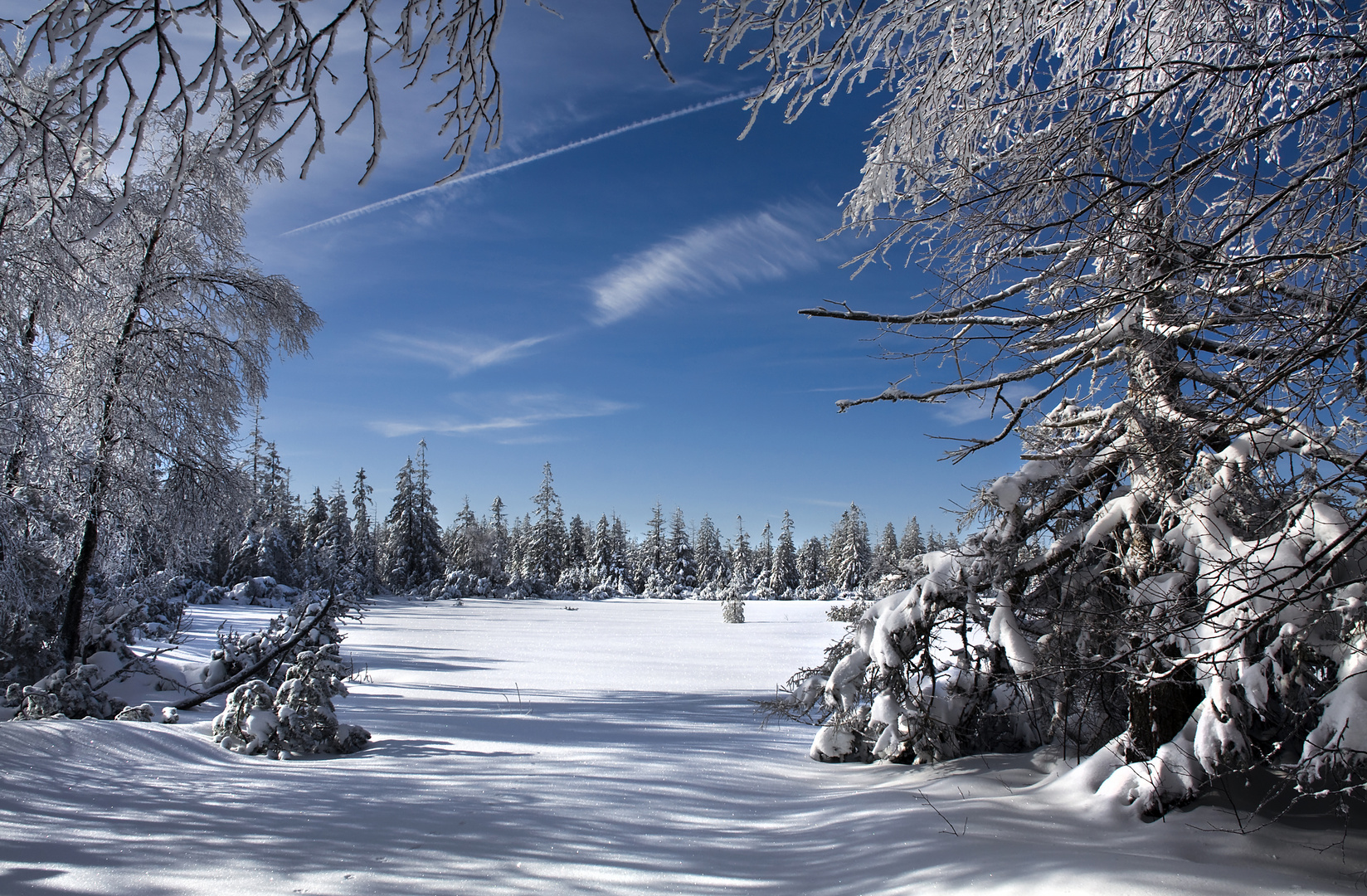 Hohlohsee-Winter