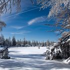 Hohlohsee-Winter