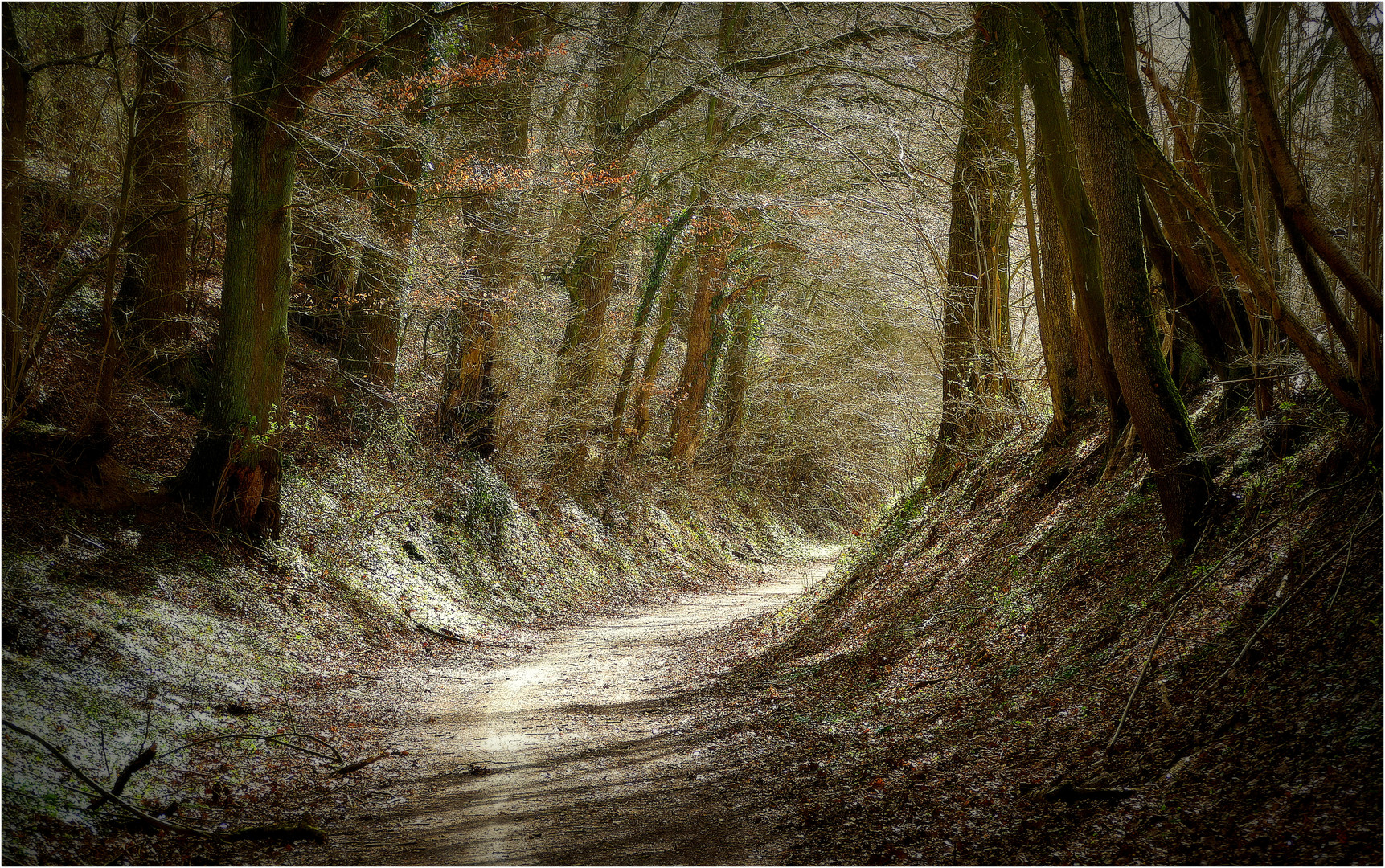 Hohlweg im Gegenlicht