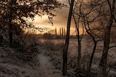 Hohlweg im Winter