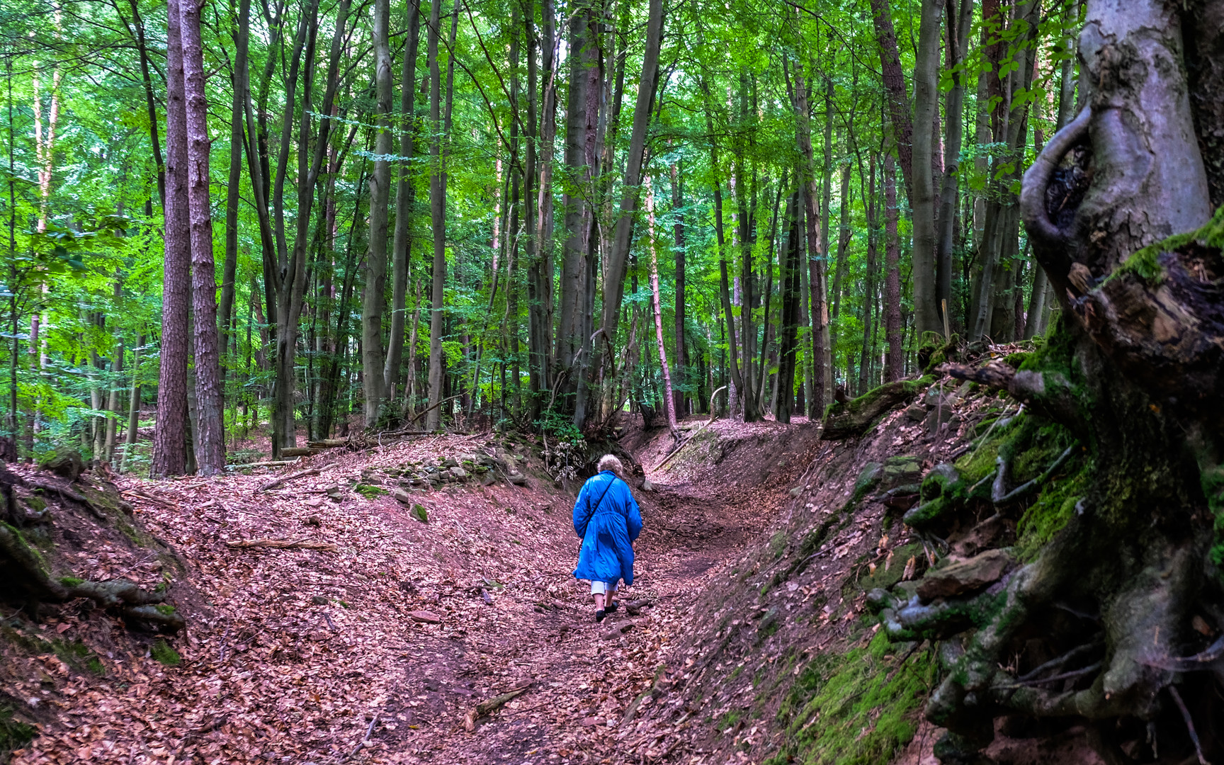 Hohlweg mit Frau in blau  