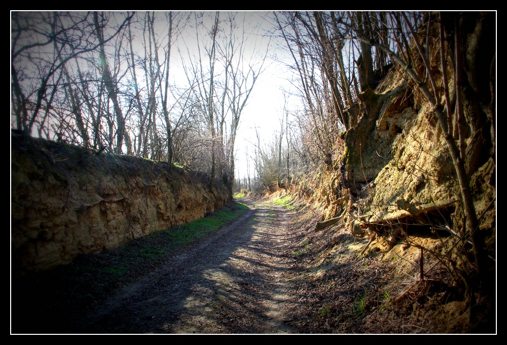 Hohlweg - Ollersdorf