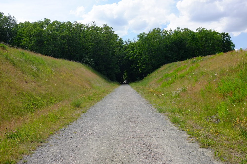 Hohlweg zum Fort Hahneberg