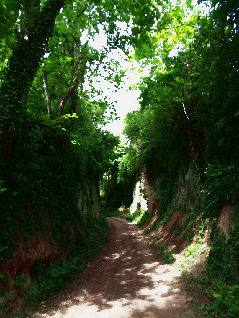 Hohlweg zwischen Endingen und Amoltern am Kaiserstuhl