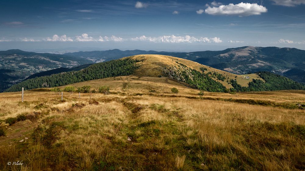 Hohneck (2) Foto & Bild europe, france, landschaft Bilder auf