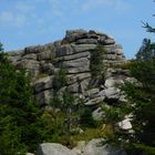 Hohnekopf im Harz