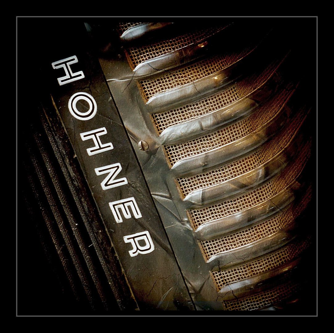 Hohner Student_2