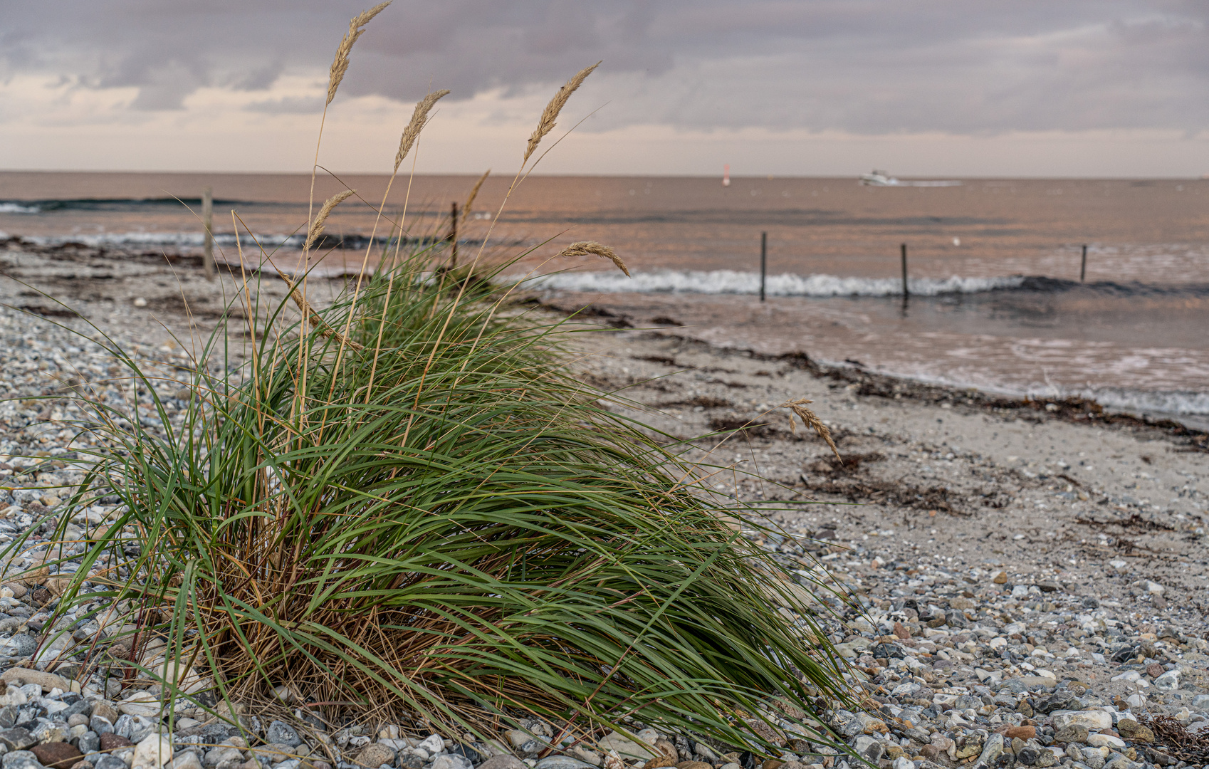 Hohwachter Bucht VIII - SH/Ostsee