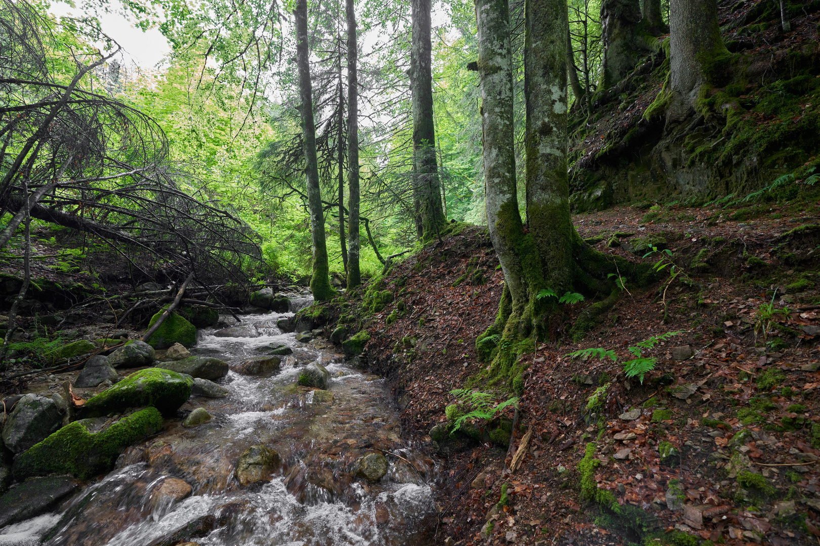 Hohwehraschlucht