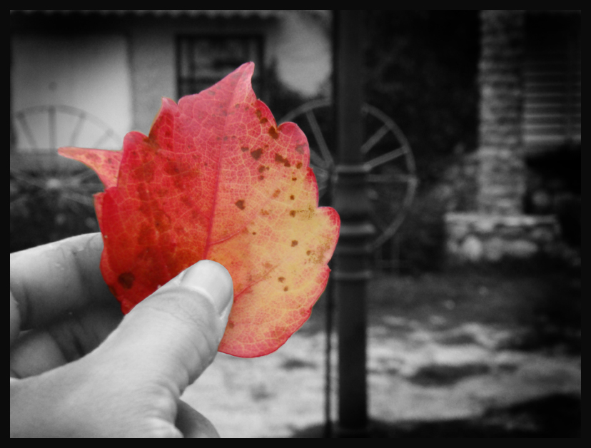 Hoja colorida de Tafí del Valle