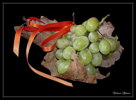 Hoja con uvas.