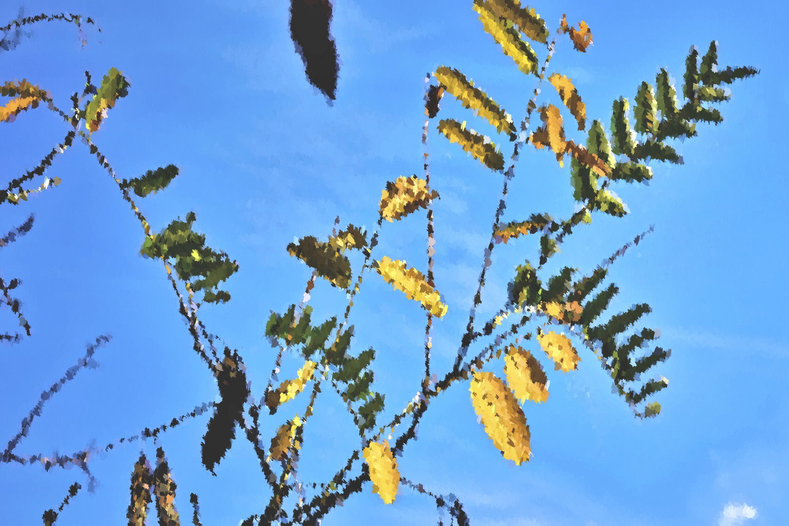 Hojas para el otoño