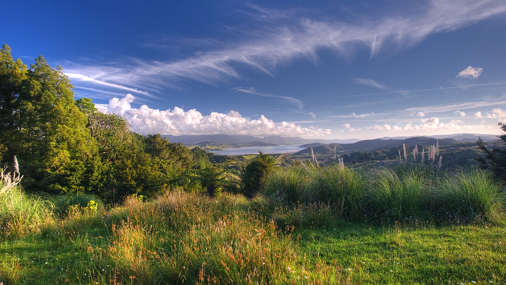 Hokianda River - Northland - NZL