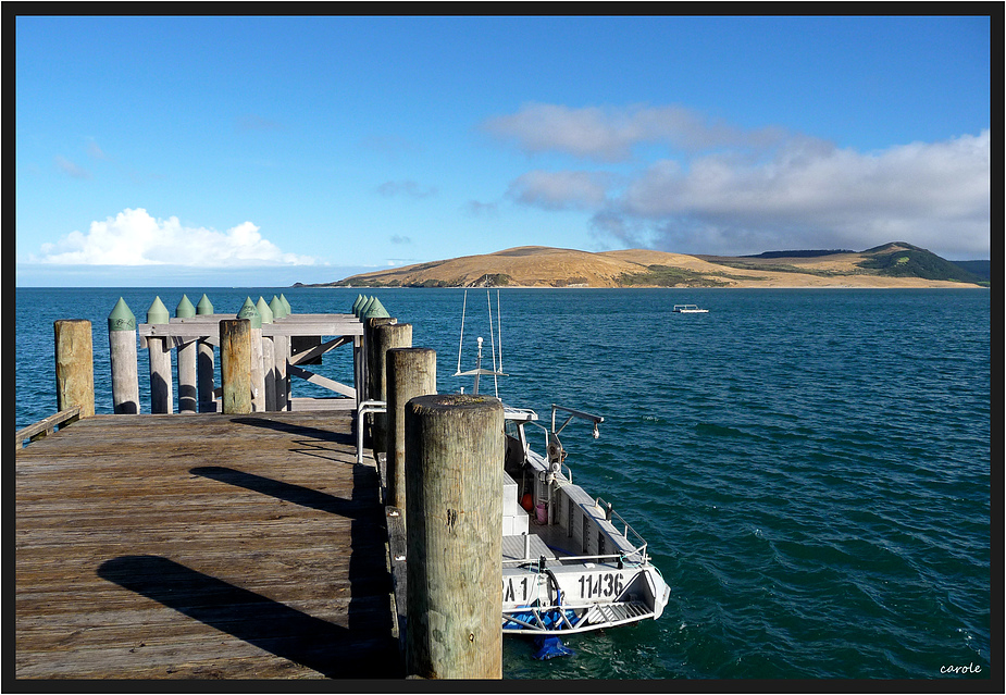 Hokianga