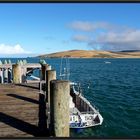 Hokianga