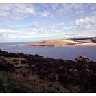 Hokianga Harbour