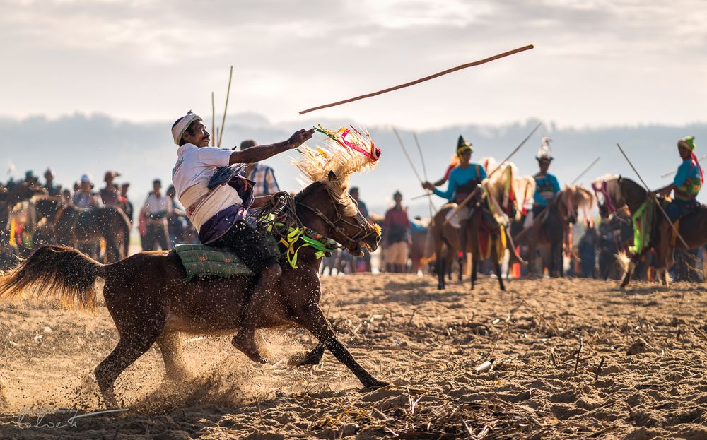 Hola ~ Pasola, Sumba Barat