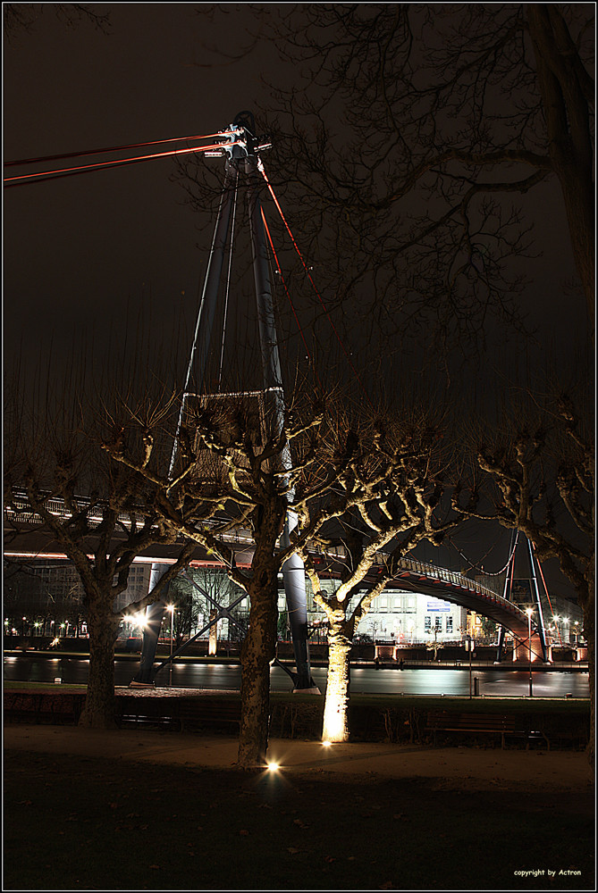 Holbeinsteg in Frankfurt am Main