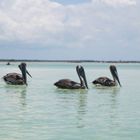 HolBox