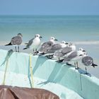 Holbox Mexiko