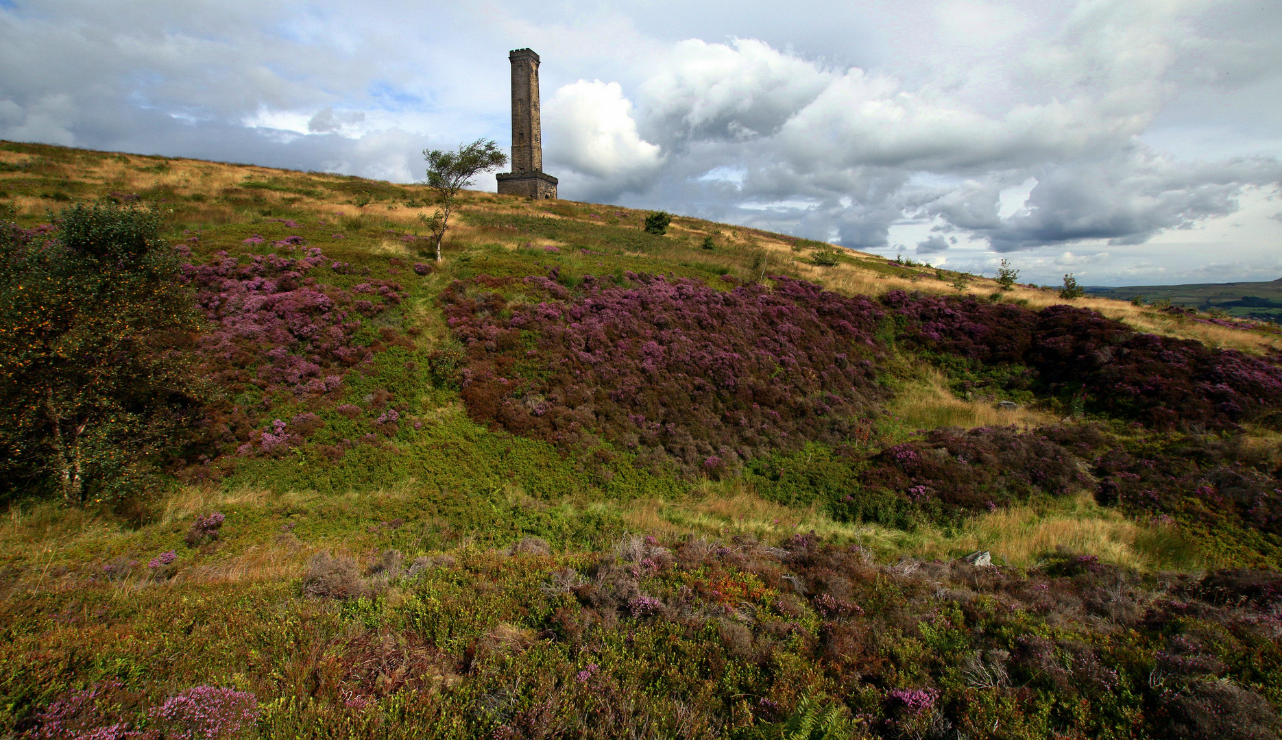 Holcombe Hill