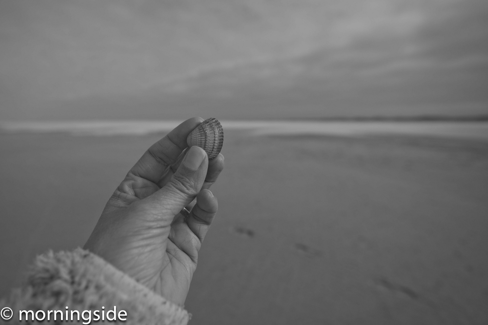 holding a sea shell