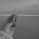 holding a sea shell