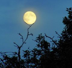 Holding the Moon