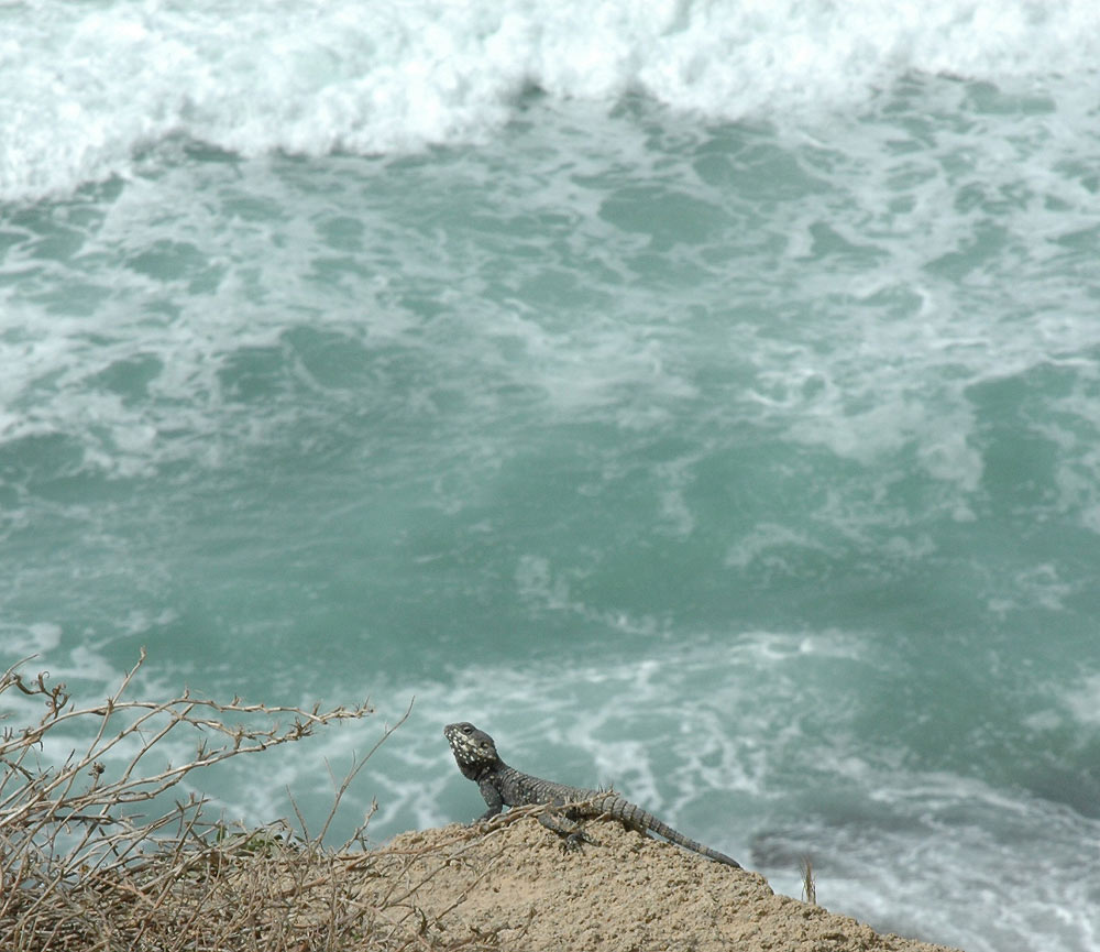 holding to the cliff