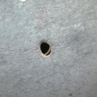 Hole