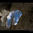 Hole in the Roof