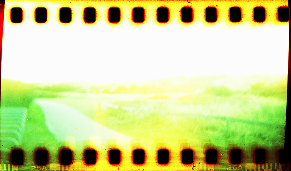 holga