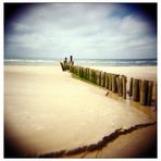 Holga aan Zee