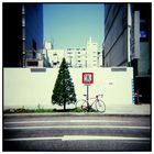 Holga in Tokyo 06