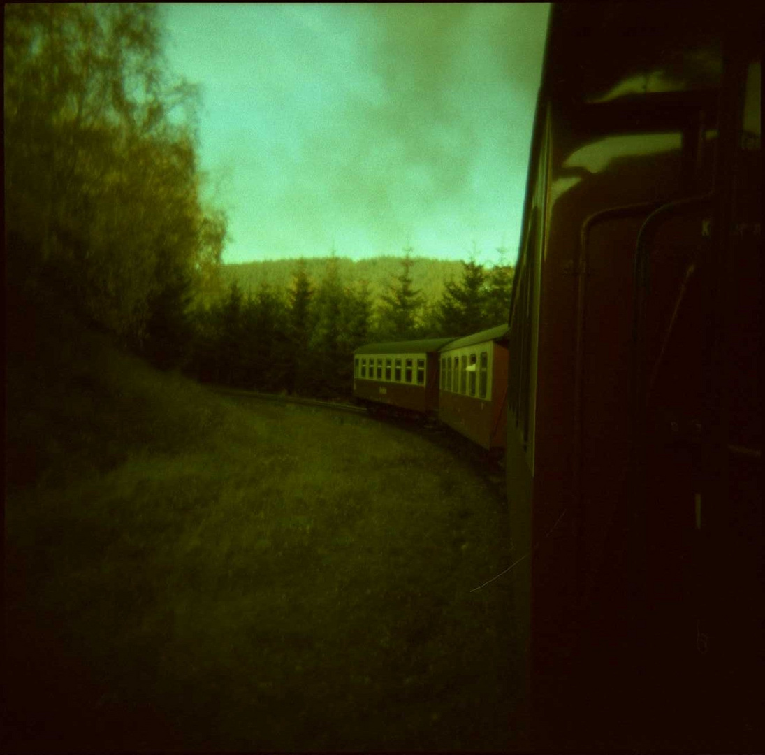 Holga: Into the Woods.