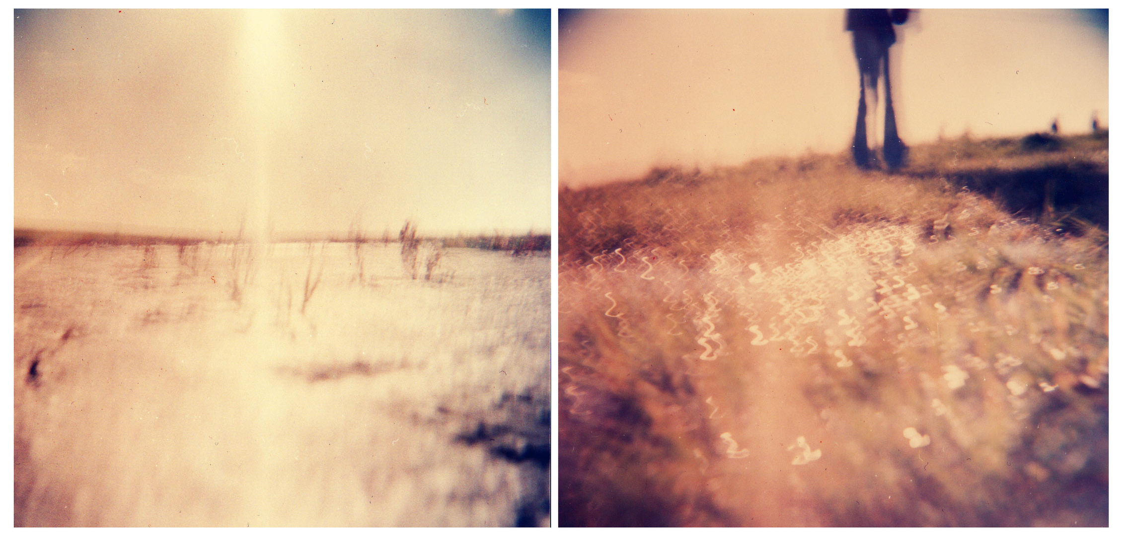 Holga liebt Nordsee