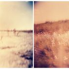 Holga liebt Nordsee