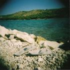 Holga meets Croatia