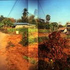 Holga meets Thai-Country