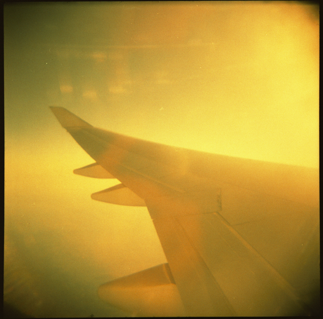 Holga trifft einen Flugzeugflügel