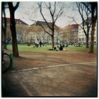 holga, und frühling.