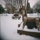 Holga XVII