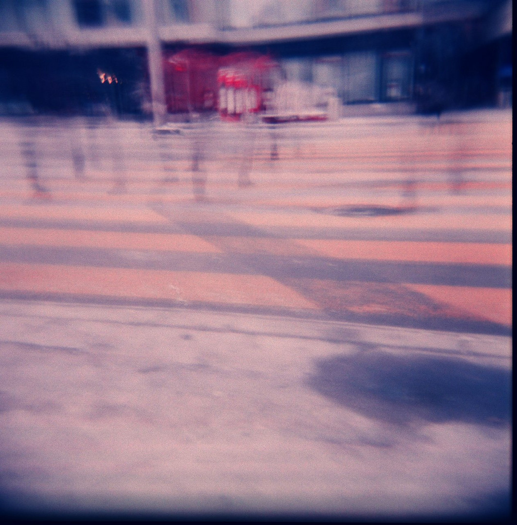 Holga XXIII