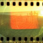 holga02