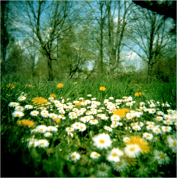 holga's welt...