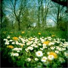 holga's welt...