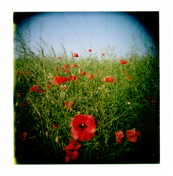 holga's welt...