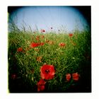 holga's welt...