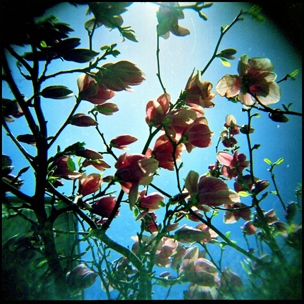 holga's welt...