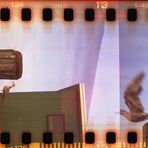 holga`sylt